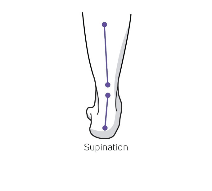 https://www.myfeet.no/pub_docs/files/Hurvetjagomjagpronerarellersupinerar/supination.jpg